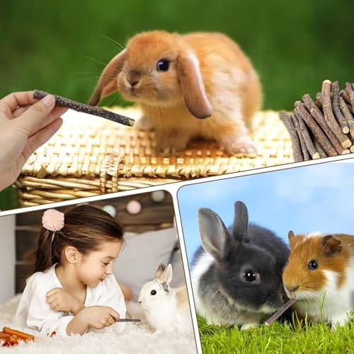 2lb Small Apple Sticks for Small Animals (900g)