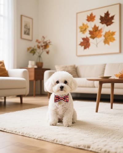 10 Pack Fall Dog Bowties for Small Dogs Sliding on Collar (S/M)