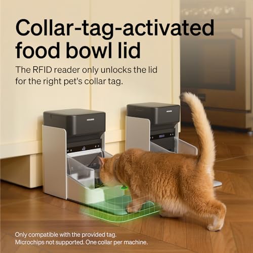 Automatic Cat Feeders for 2 Cats (White / 3L*2 Packs)
