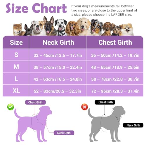 Dog Harness No Pull (Purple / X-Large)