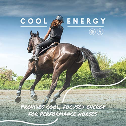 Cool Calories 100 Horse Supplement