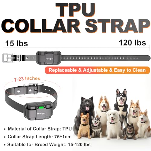 Dog Training Collar with Remote (1 collar with remote)