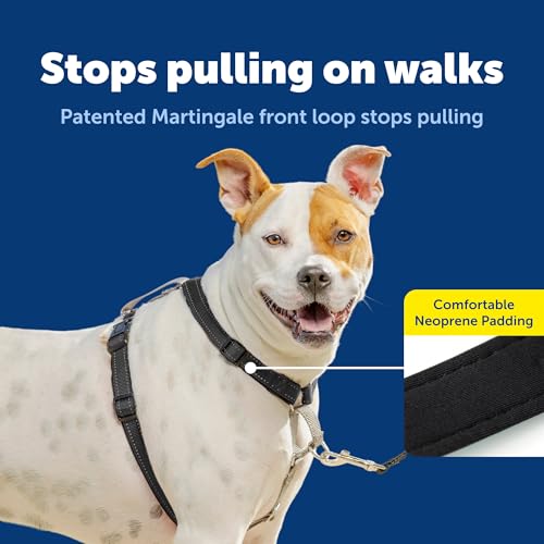 3 in 1 No Pull Dog Harness (Black / Medium (Pack of 1))