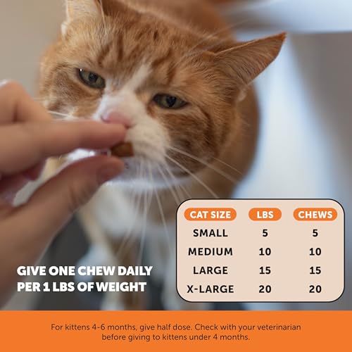 Vet Backed Senior Cat Joint Supplement (90-Day Supply)