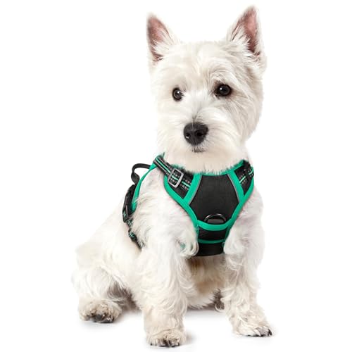 Dog Harness No Pull for Small Dogs with 2 Leash Clips (X-Small / Black & Turquoise)