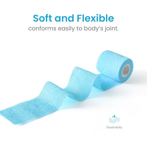 Pet Wrap Self (2 Inch (Pack of 6) / Solid Color B, 2 of Each Color)
