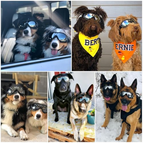 Dog Goggles Dog Sunglasses for Medium to Large Breed Anti (Large / Black)