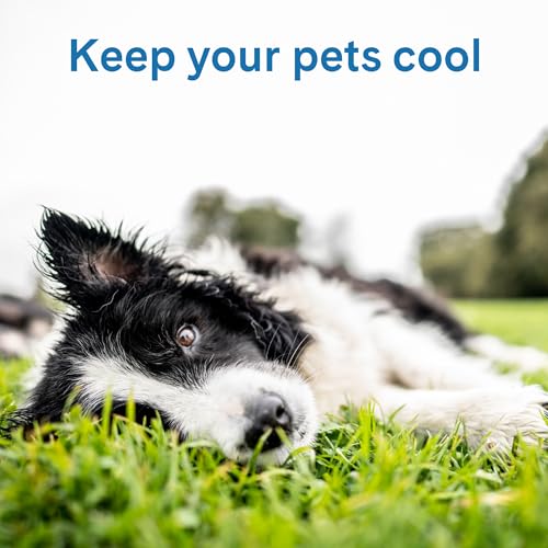 Cool Pet Pad Extra Small (X-Small / Blue)