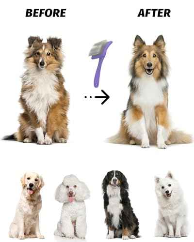 Large Dog Brush (L / Purple)