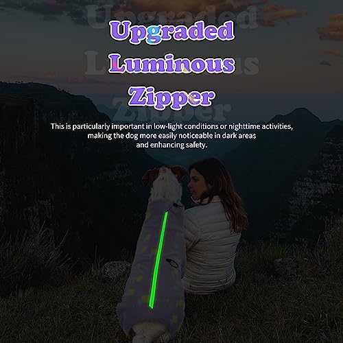 Dog Leg Warmers for Medium Dogs (M / Purple-geometry)