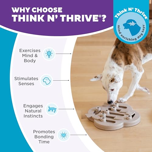 by Nina Ottosson Dog Hide N' Slide Treat Puzzle Enrichment Toy