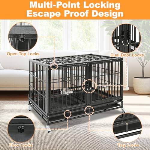 43" Double Dog Crate (43.0"L x 28.0"W x 29.0"H)