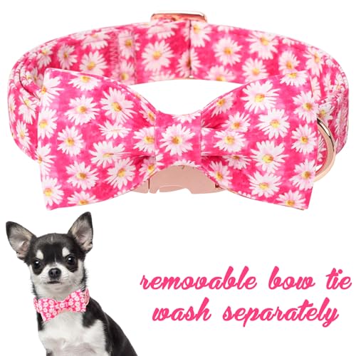 Cartoon Dog Collar with Bow Spring Summer Collar with Flower Rose Daisy for Small Medium Large Boys Girls Dogs (XS / Rose daisy bow)