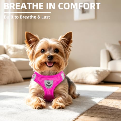 Dog Harness Collar and Leash Set No Pull for Small Medium Sized (Solid DeepPink / XS (CHEST 13"-14.5"))