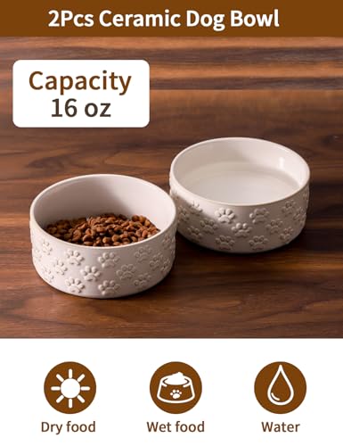 Small Dog Bowls Set of 2 (5.1 in-Small)