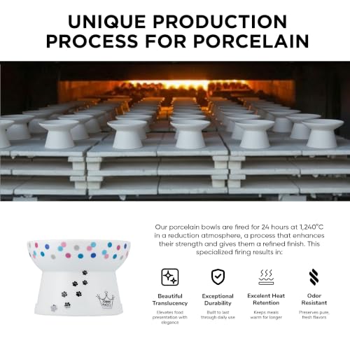 Necoichi Porcelain (Colorful Dots / Regular)