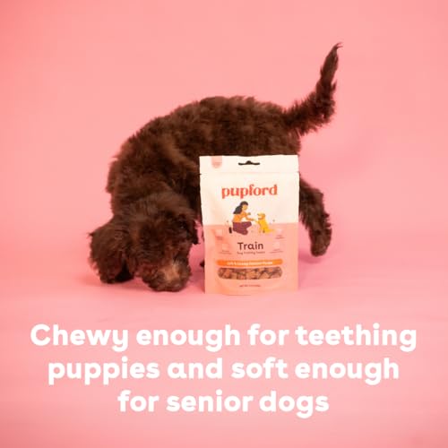 Soft & Chewy Training Treats for Dogs & Puppies (10 Ounce (Pack of 1))