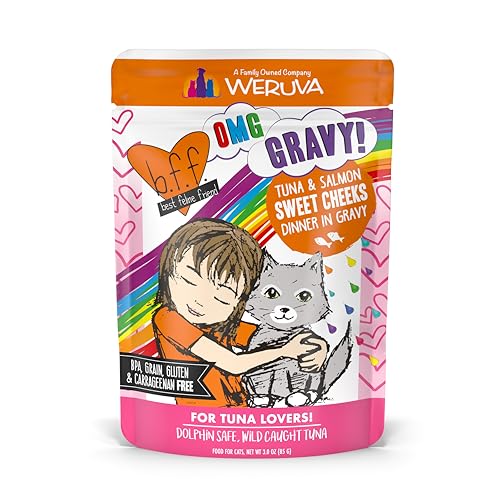 B.F.F. OMG Best Feline Friend Oh My Gravy! (3 Ounce (Pack of 12))