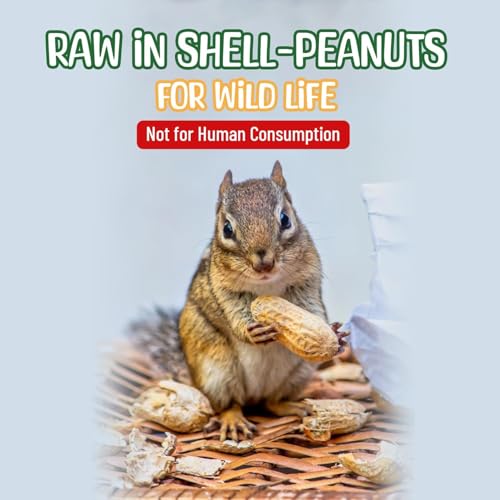 Raw Peanuts in Shell (5 Pound (Pack of 2))