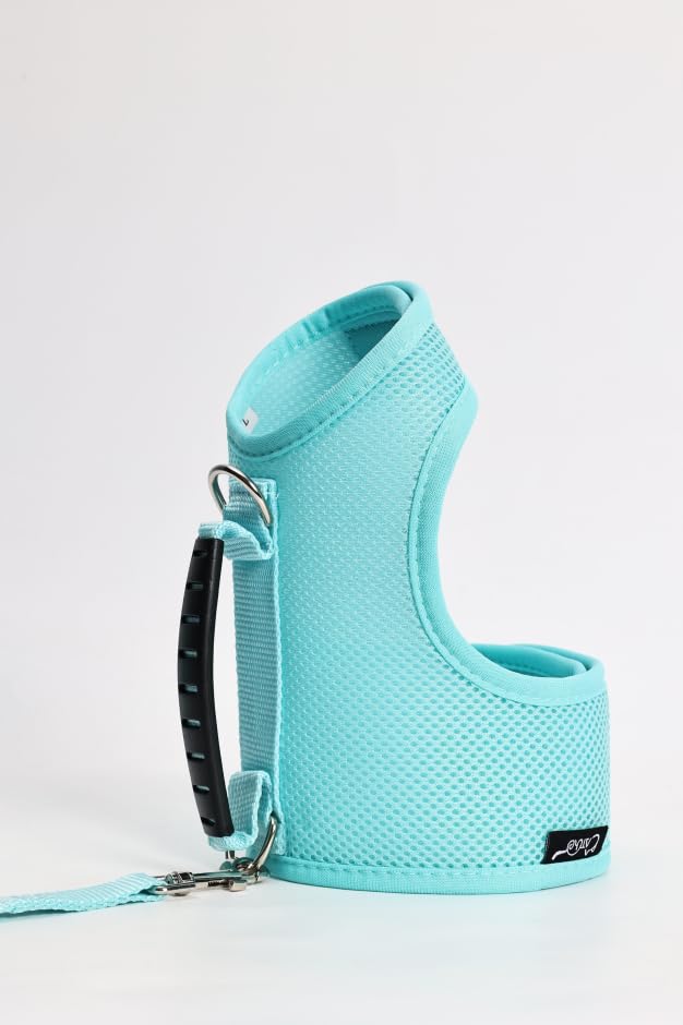 Cat Harness and Leash Set for Walking Escape Proof (Turquoise / XL 11-20 lbs)