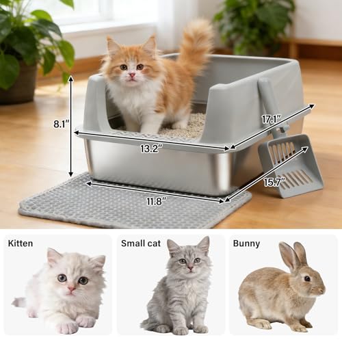 Stainless Steel Litter Box with Lid (Small)