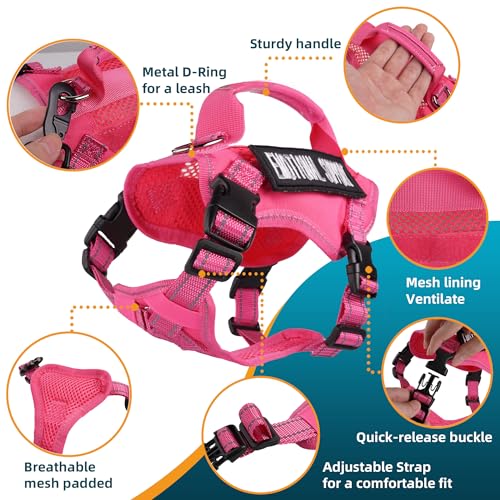 Tactical Cat Harness Pink for Walking Esacpe Proof (Pink / L)