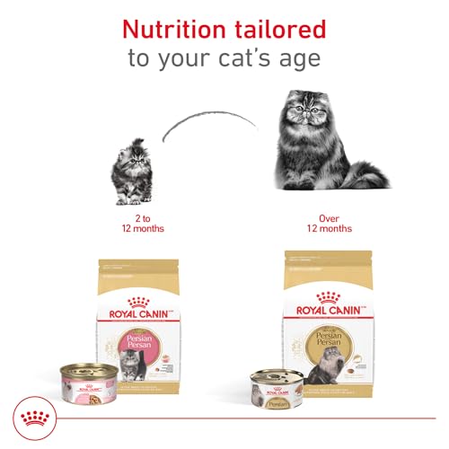 Feline Breed Nutrition Persian Adult Dry Cat Food