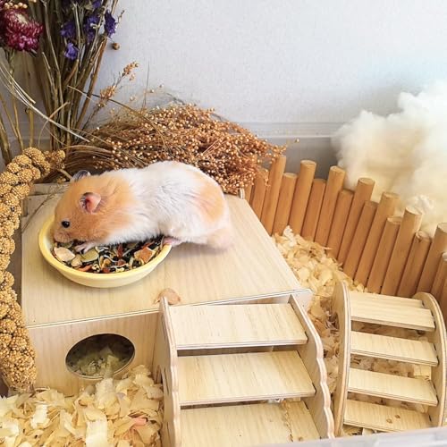 Multi Chamber Wooden Hamster Hideout & Tunnel with Secret Peep Shed (4-Chamber Hamster Maze)