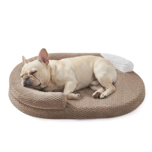 Orthopedic Dog Bed Medium Size Dogs (Brown / M(28"x 20"x 6"))