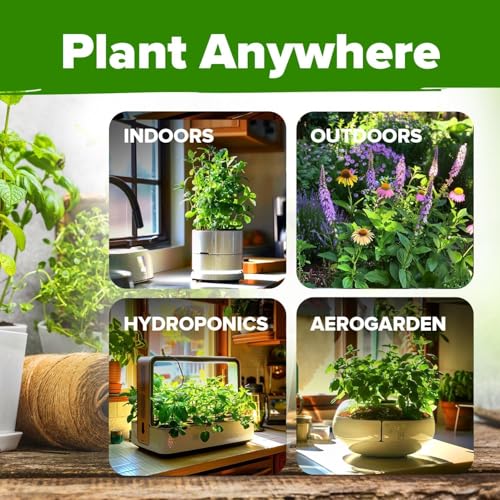 6 Medicinal Herb Variety Vault 2000+ Seeds Garden Kit