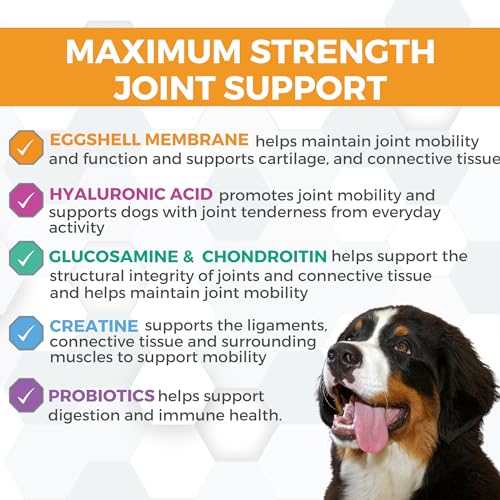 ProgilityMAX Maximum Strength Hip & Joint Glucosamine (60 count)