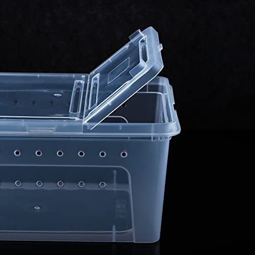 2 Pack Reptile Box Escape
