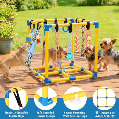 Puppy Play Gym for Small Dogs 10 Hanging Toys (Yellow & Blue)