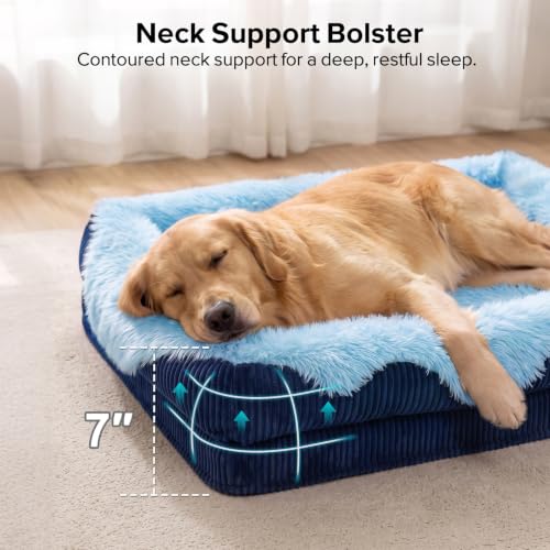 Orthopedic Dog Bed for Medium Sized Dog (Blue / 35"L x 25"W x 6.5"T)