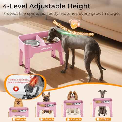 Mess Proof Elevated Dog Bowls (Pink / Small)