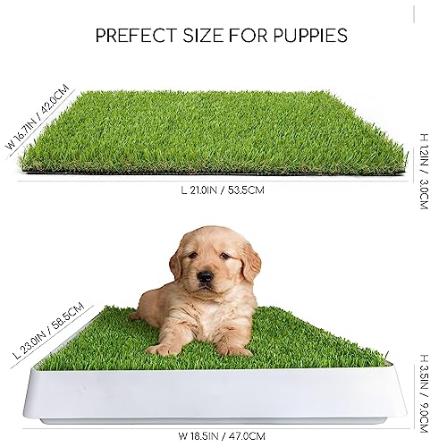Dog Grass Pad with Tray (Dogs Potty)