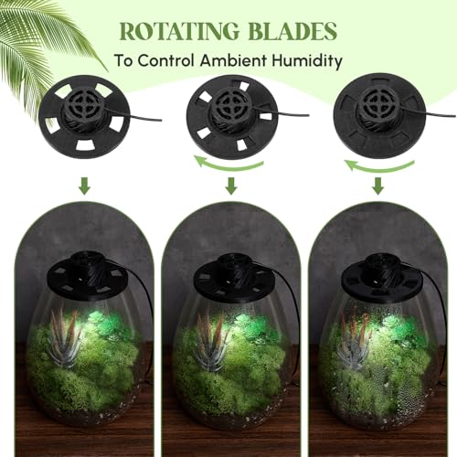 Glass Terrarium Kit with LED Grow Light for Desktop (6.9 x 7.8 Inch)