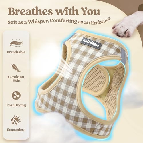 Dog Harness Small Sized and Leash Set (Beige Check / Xs (chest: 13.3 - 15.5"))
