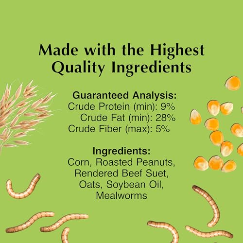 Mealworm Delight No Melt Suet Dough (1.47 Ounce (Pack of 8) / Mealworm, 8 Pack)