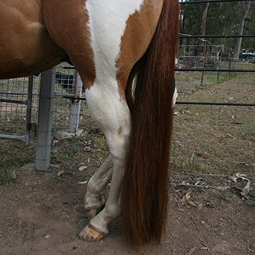 Horse Tail Extensions with Braided Horsehair Loop (1 LB (34"-36") / Med Sorrel)