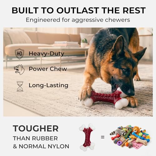 2 Pack Dog Toys for Aggressive Chewers Medium (2PC-Beef-Red)