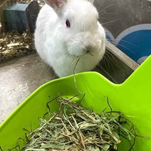 Organic Oat Hay for Small Pets (3 Pound (Pack of 1))