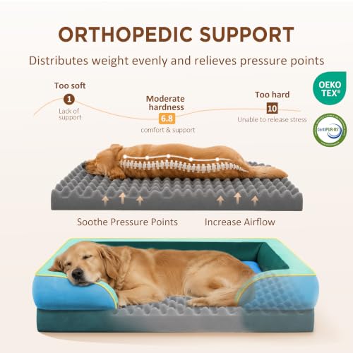 Orthopedic Dog Bed for Extra Large Dogs with Bolster (42.0"L x 30.0"W x 8.5"Th / Dallas)