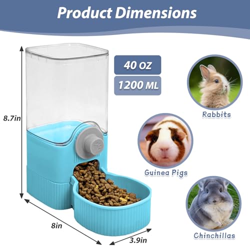 Rabbit Food Dispenser (Blue)