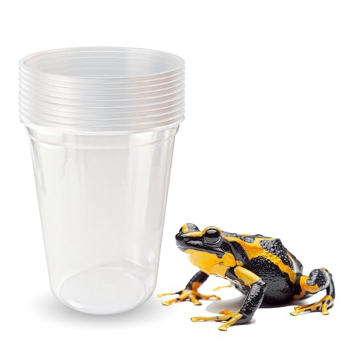 Deli Cups with Fabric Vented Lids (32oz/10 cups)