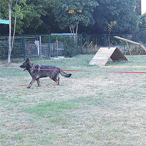 Dog Puppy Obedience Recall Training Agility Lead (Blue / 15 Feet)