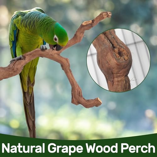 3 Piece Premium Bird Perch Stand with Natural Grape Wood Branch (Grape / 3Piece)