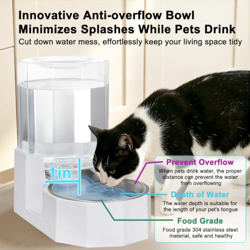 4L Stainless Steel Gravity Water Dispenser (White / 4L Without Filter)
