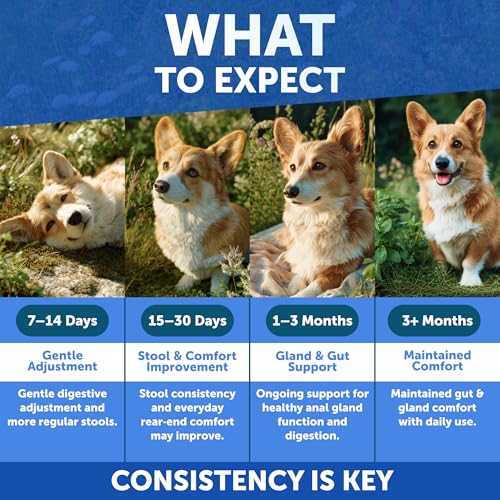 Anal Gland Support Chews for Dogs (120 Treats)