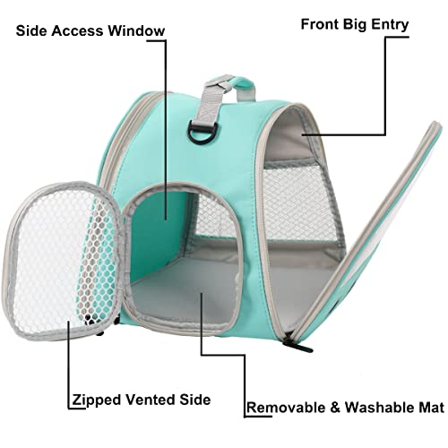 Reptile Travel Carrier Bag with Absorbent Pad Set (Green)